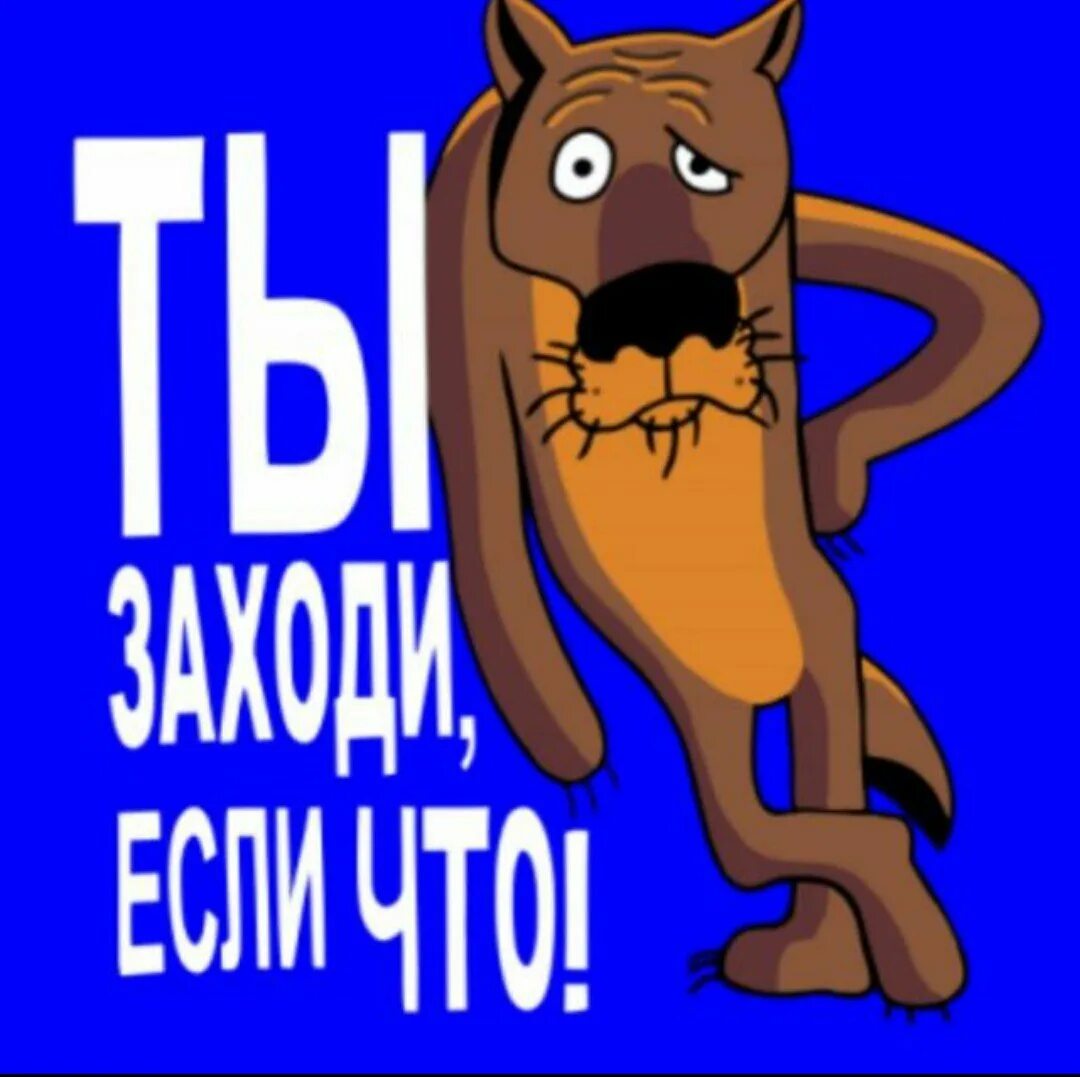 Смешные аватарки whatsapp. Ты заходи если что. приколы для группы в ватсапе. ну ты это заходи если че. ава для группы друзей смешные.