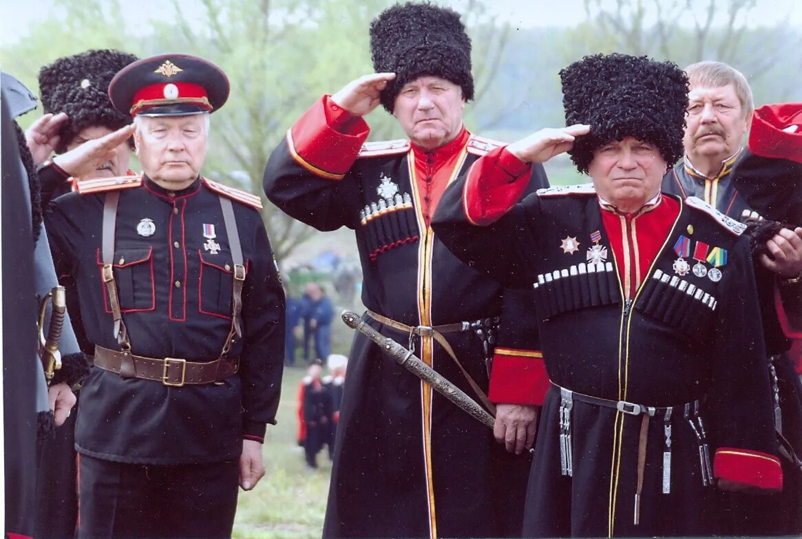 В каком году произошли казаки. «Кубанские казаки в Львове» Васюк. Атаман кубански Козаков. Казачество "казаки на Северном Кавказе".