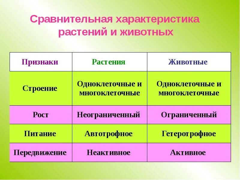 Каков основной отличительный признак. Характерные особенности животных. Царство животные признаки. Основные признаки царства животных. Общая характеристика растений и животных.