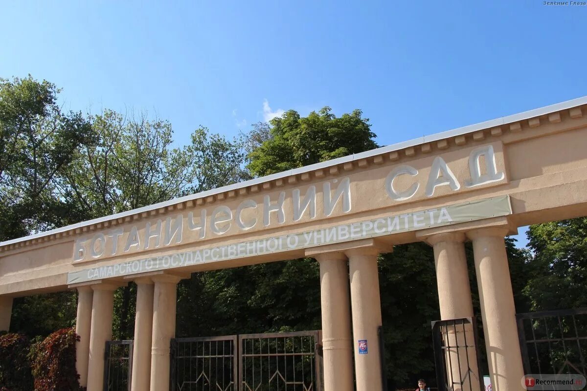 Ботанический сад самара. Пруды ботанического сада самара. Ботанический сад самарского университета самара. Ботанический сад самара. Ботанический сад самара дендрарий.
