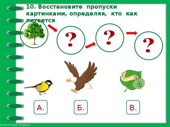 Невидимые нити в весеннем лесу примеры. Невидимая нить. Невидимые нити задание. Невидимые нити в лесу. Примеры невидимых нитей в природе 2 класс.