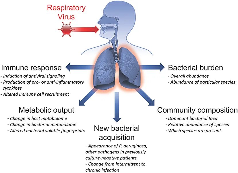 Viruses Respiratory.