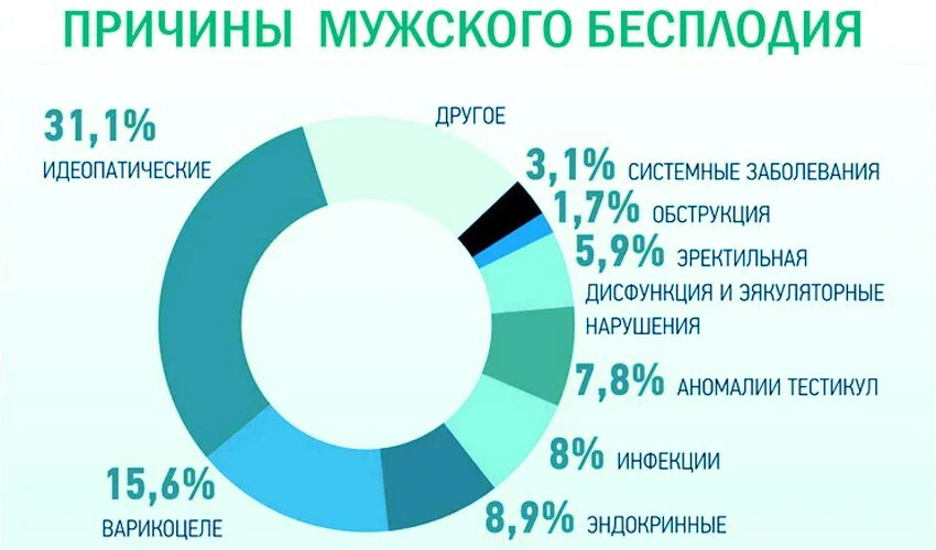 Причины мужского бесплодия. Причины бесплодия у мужчин. Мужское бесплодие эпидемиология. Мужское бесплодие статистика. Бесплодие у мужчин причины