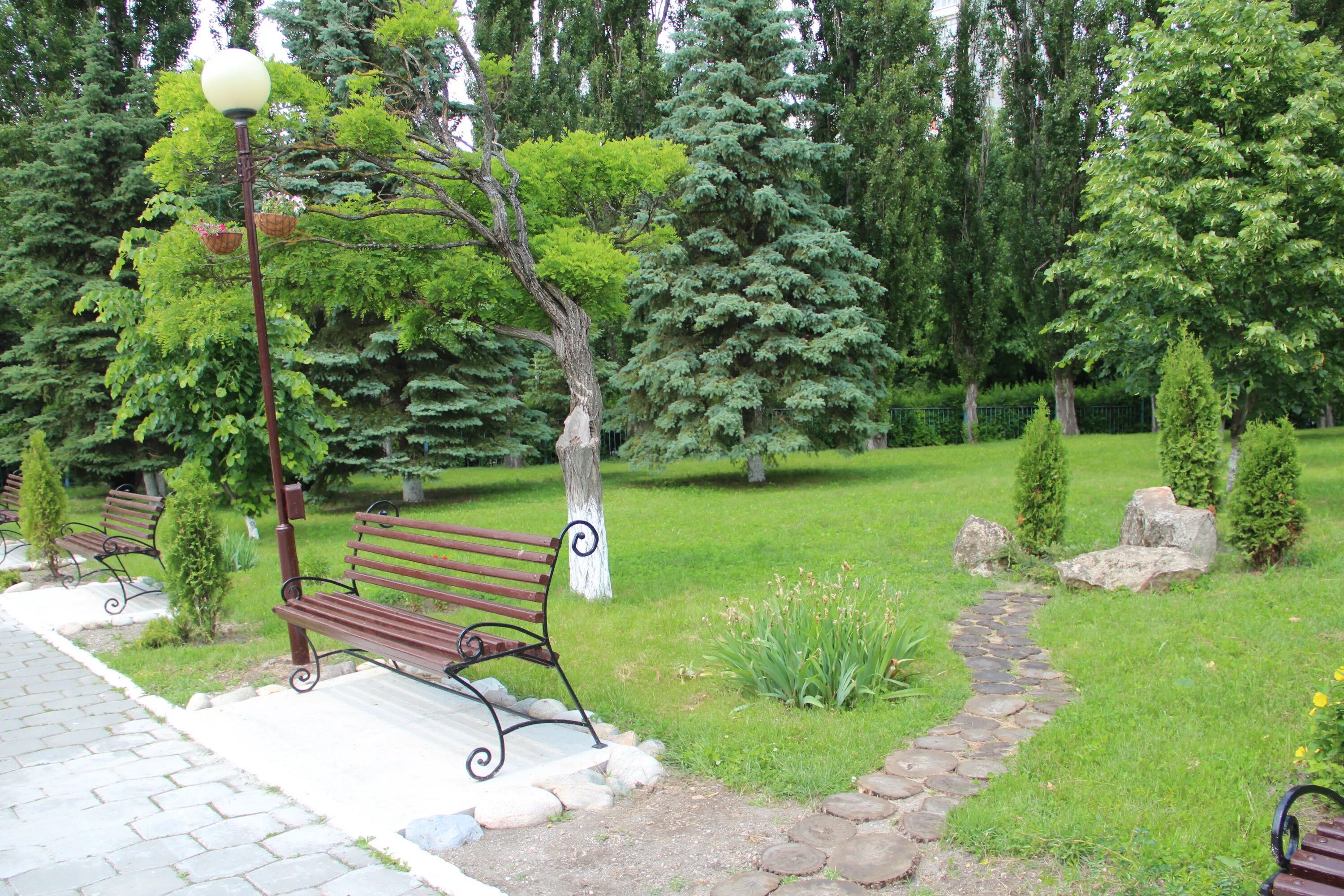 дубрава лечение. территория санатория дубрава железноводск. дубрава 2 железноводск пансионат. город железноводск санаторий дубрава. дубрава лечение.