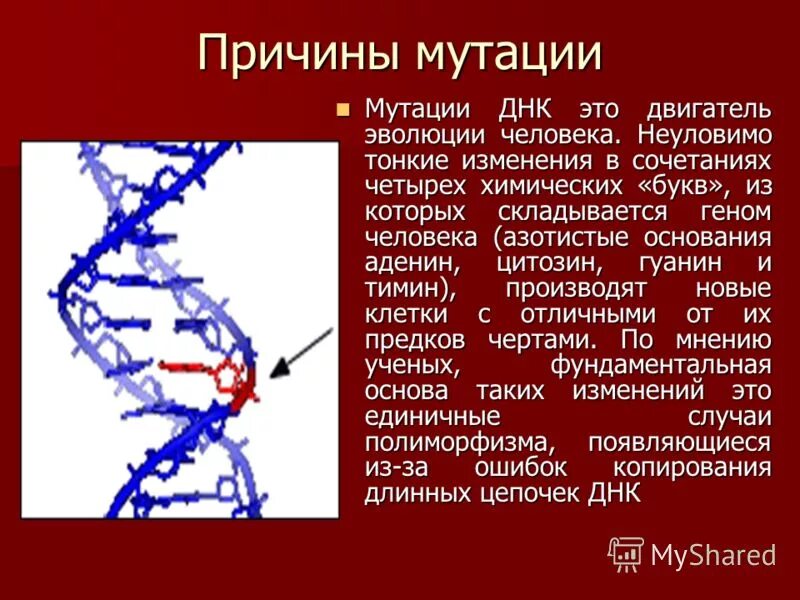 Транскрипция мутация. Изменение структуры ДНК. Мутации генома. Мутационная ДНК. Мутации, возникающие на уровне первичной структуры ДНК.