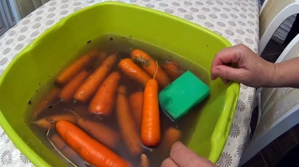 Хранение очищенных овощей. Хранение моркови. Хранение моркови в холодильнике. Морковь в контейнере. Морковь в ящике.