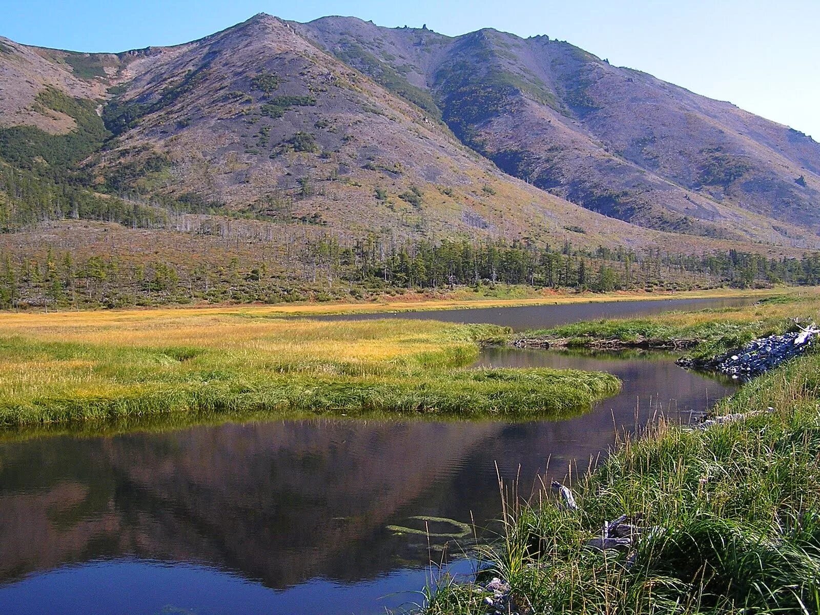 джугджурский заповедник хабаровского края. гора высокая сихотэ-алинь. джугджурский заповедник хабаровского края. хребет джугджур. хребет джугджур.