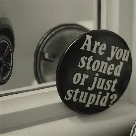 Just stupid