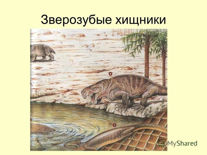 Почему зверозубые получили такое название. Почему зверозубые получили такое название