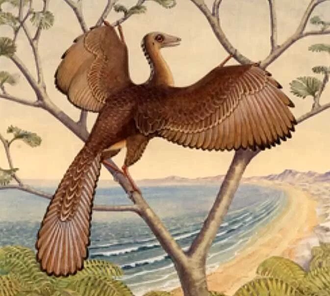 Птица Археоптерикс. Археоптерикс динозавр. Ихтиозавры, Археоптериксы. Древние птицы Археоптерикс. Скелет археоптерикса