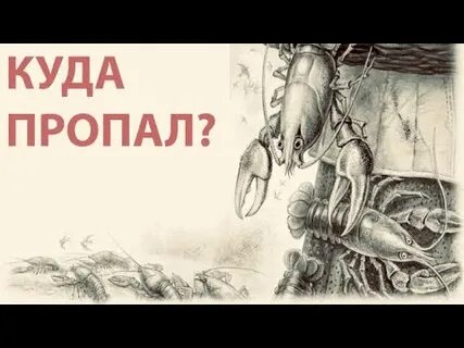 Рак исчез