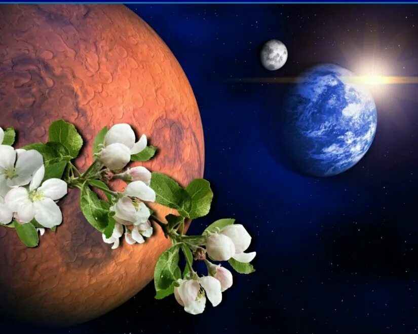 Яблони на Марсе. На марсебудутяблокицвести. И на Марсе будут яблони цвести. И на Марсе будут яблони цвести рисунок. И на марсе будут марсе текст