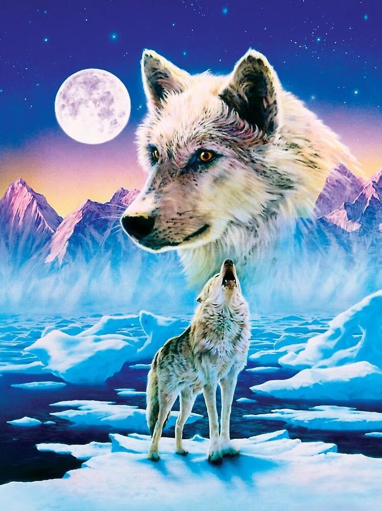 Постер с волком. Постер волки. Волк живопись. Картина волки. Плакат с волком.