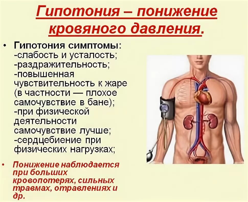 Пониженная гипотония. Гипотония. Понижение артериального давления. Гипотония причины. Симптомы гипертонии и гипотонии.