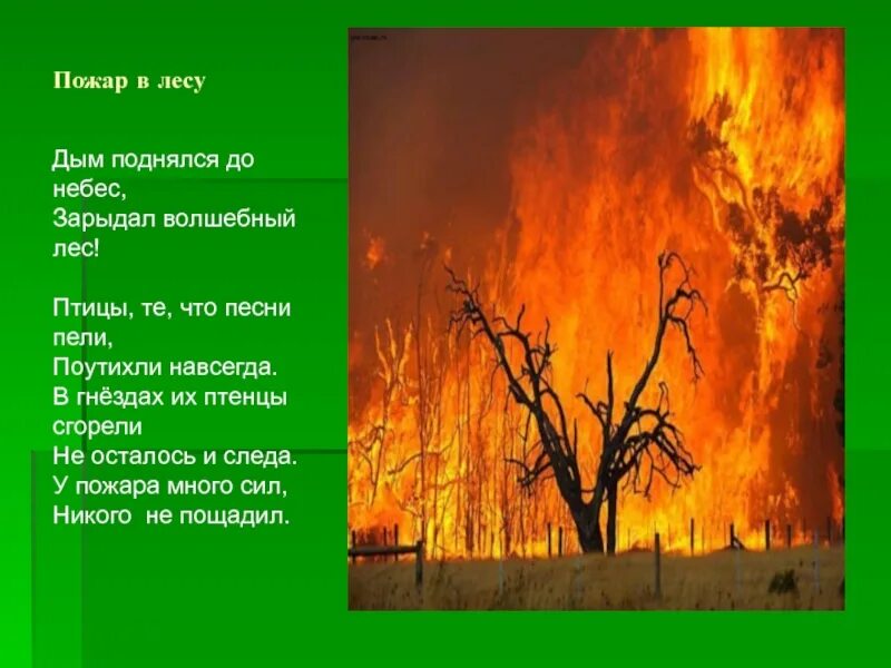 План рассказа дым в лесу. Стихотворение Лесной пожар. Стихи про Лесные пожары. Стихи про пожар в лесу. Пожар в лесу рассказ.