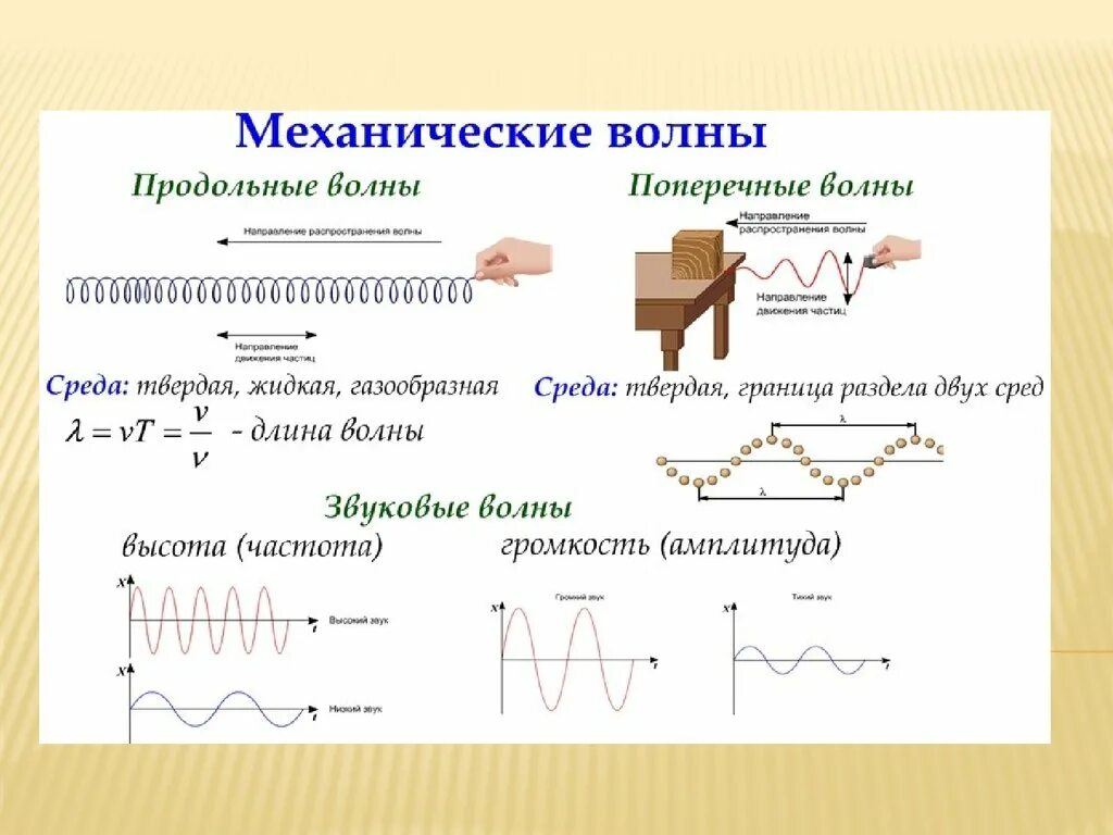 Продольная волна формула. Продольная механическая волна и поперечная механическая волна. Продольные и поперечные механические волны. Механические волны продольные и поперечные волны. Формула продольной механической волны.