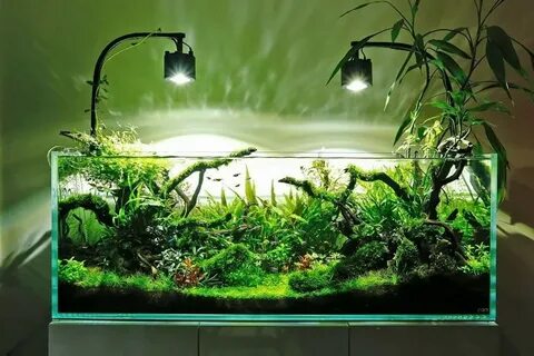 Лампа для растений в аквариуме