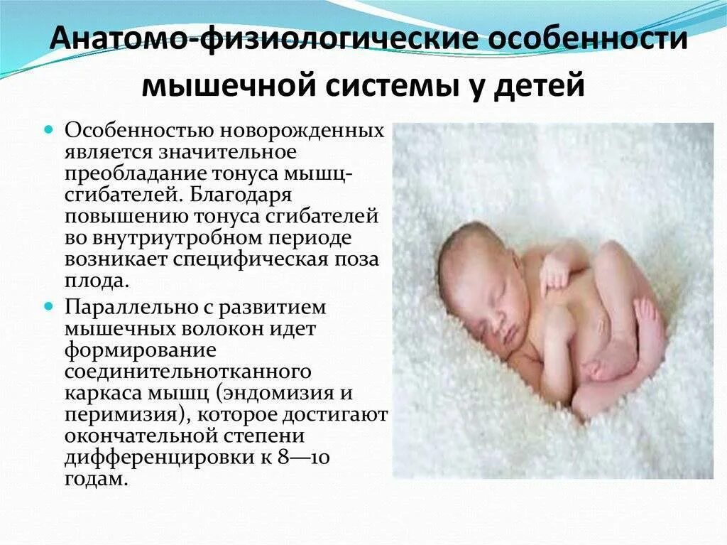 Особенность мышечной системы у новорожденного ребенка. Анатомо физиологические новорожденного анатомо. Физиологические периоды новорождённых. Анатомические особенности новорожденных детей.