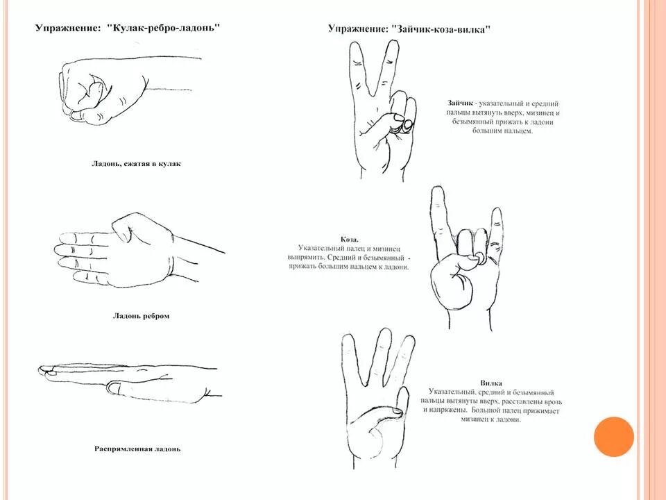 Упражнения пальцев для мозга. Кинезиологические пальчиковые упражнения для дошкольников. Пальчиковые кинезиологические упражнения гимнастика мозга. Пальчиковая гимнастика кинезиологические упражнения. Кинезиологические упражнения для рук для дошкольников.