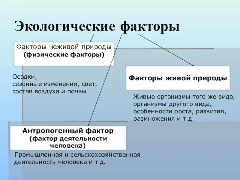 Экологический фактор страны. Физические экологические факторы. Физические факторы экология. Окружающая среда физические факторы. Физические экологические факторы среды это.