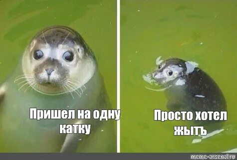 Хочу приходи