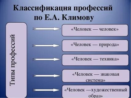 Систематика профессии