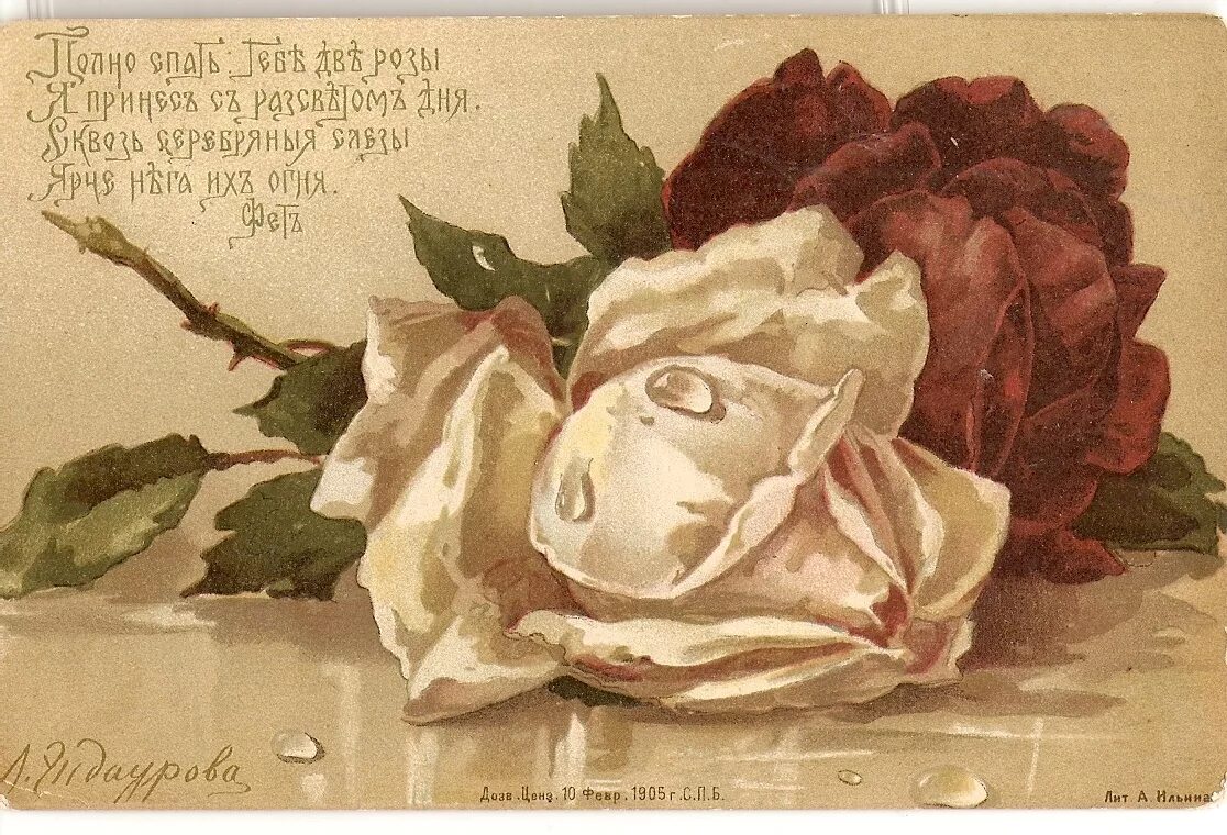 две розы гумилев. две розы гумилев. гумилёв стихи роза. стихотворение про розу. две розы гумилев.