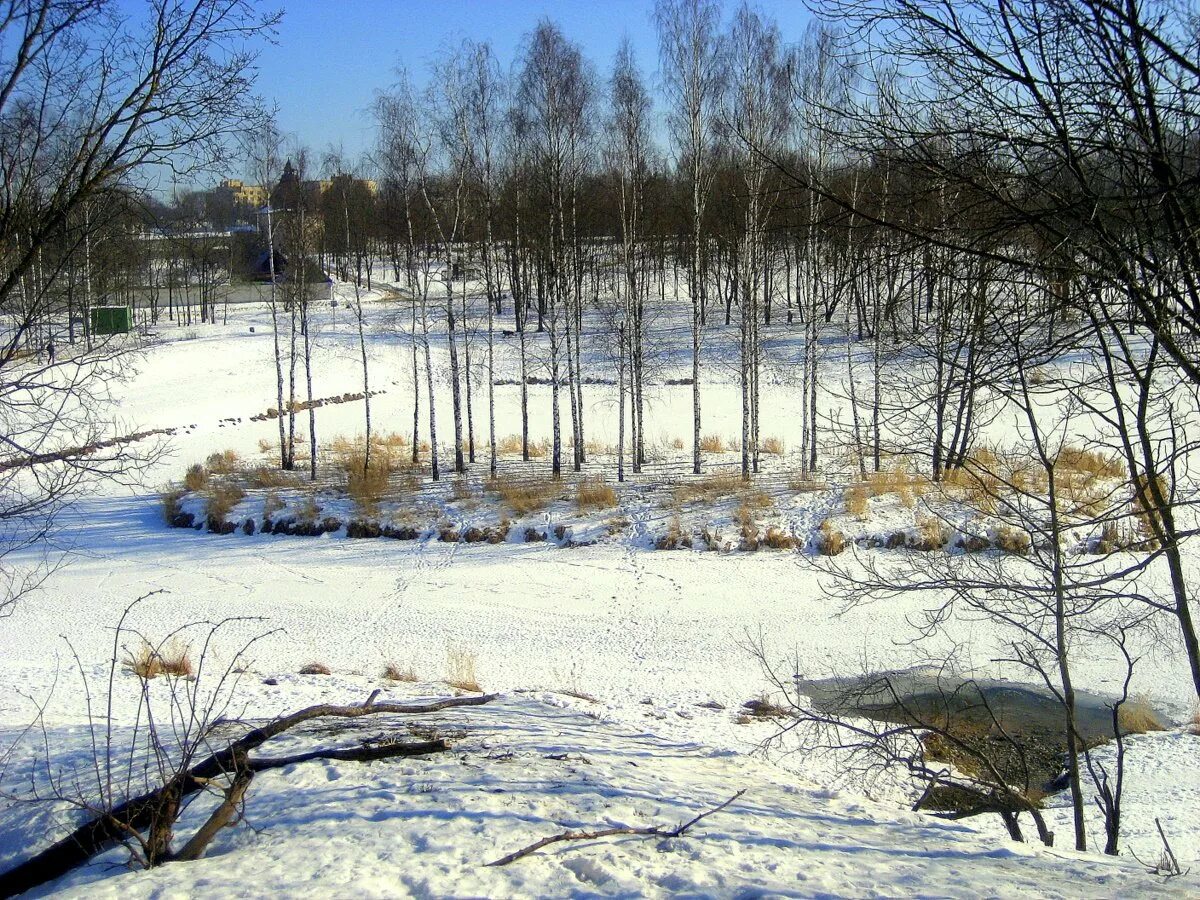 Начала весны среднем начало. Конец зимы начало весны. Конец февраля. Природа в конце зимы. Мартовский пейзаж фото.