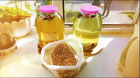 Настойка из овса для печени