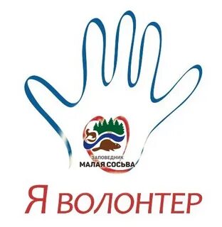 Орленок доброволец рисунки
