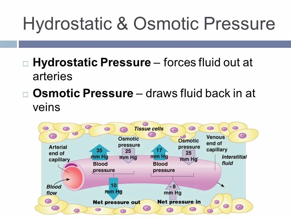 Fluid force