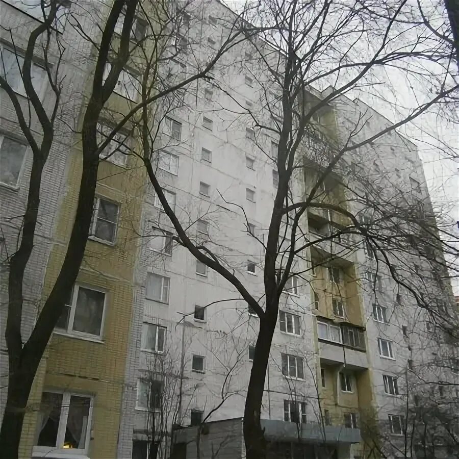 Циан в королеве