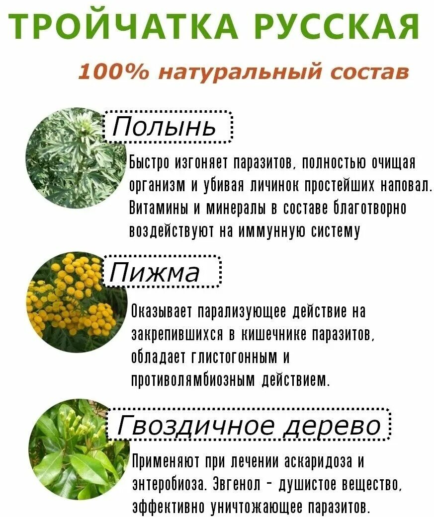 Тройчатка от паразитов инструкция по применению взрослым. Русская тройчатка. русская тройчатка 2. тройчатка русская состав. тройчатка от паразитов состав русская.