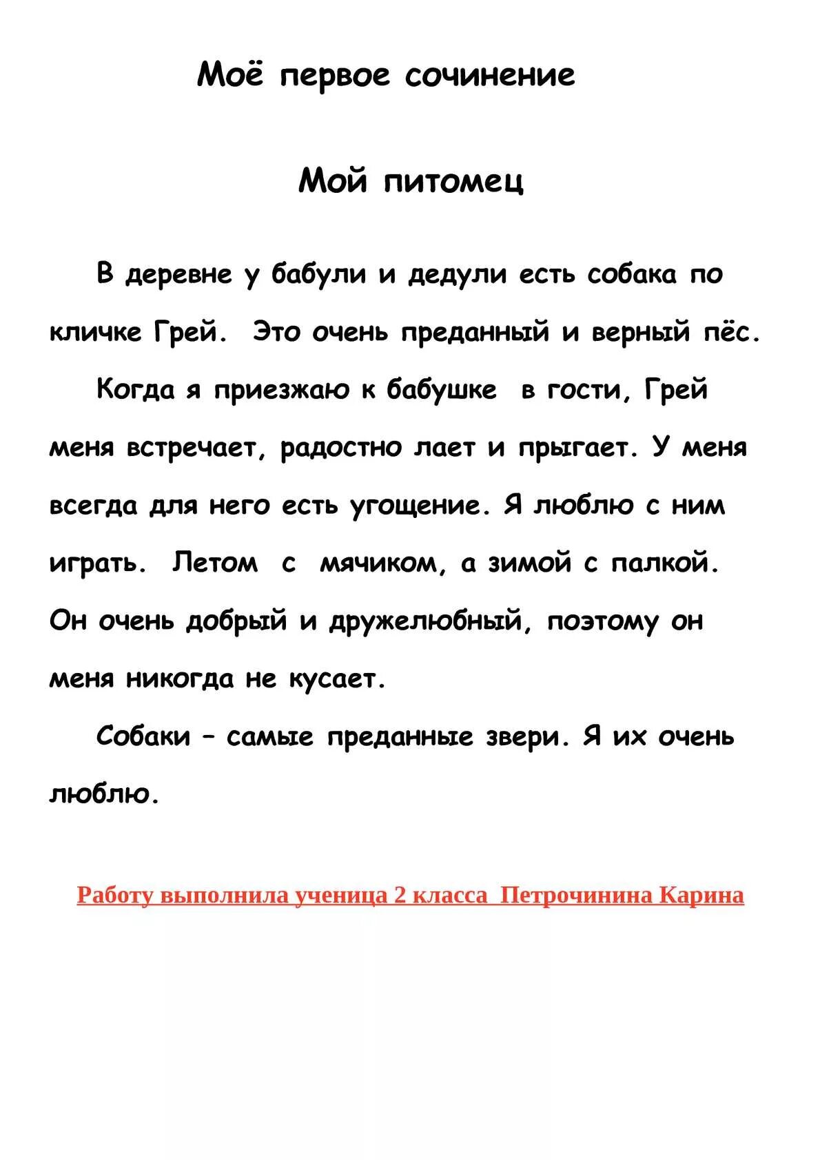 Сочинение про собаку. Сочинение мой любимый питомец. Сочинение моё любимое животное собака. Сочинение про собаку 2 класс. Написать сочинение про домашнего питомца 2 класс