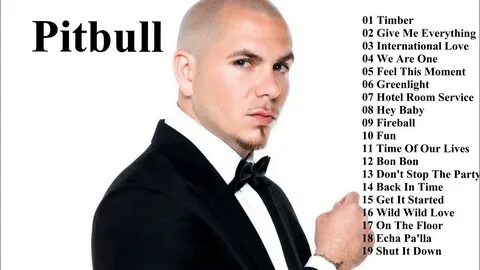 Hey girl pitbull