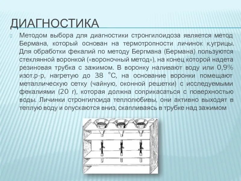 Методика орлова. Метод Бермана. Аппарат Бермана. Метод Бермана паразитология. Стронгилоидоз метод Бермана.