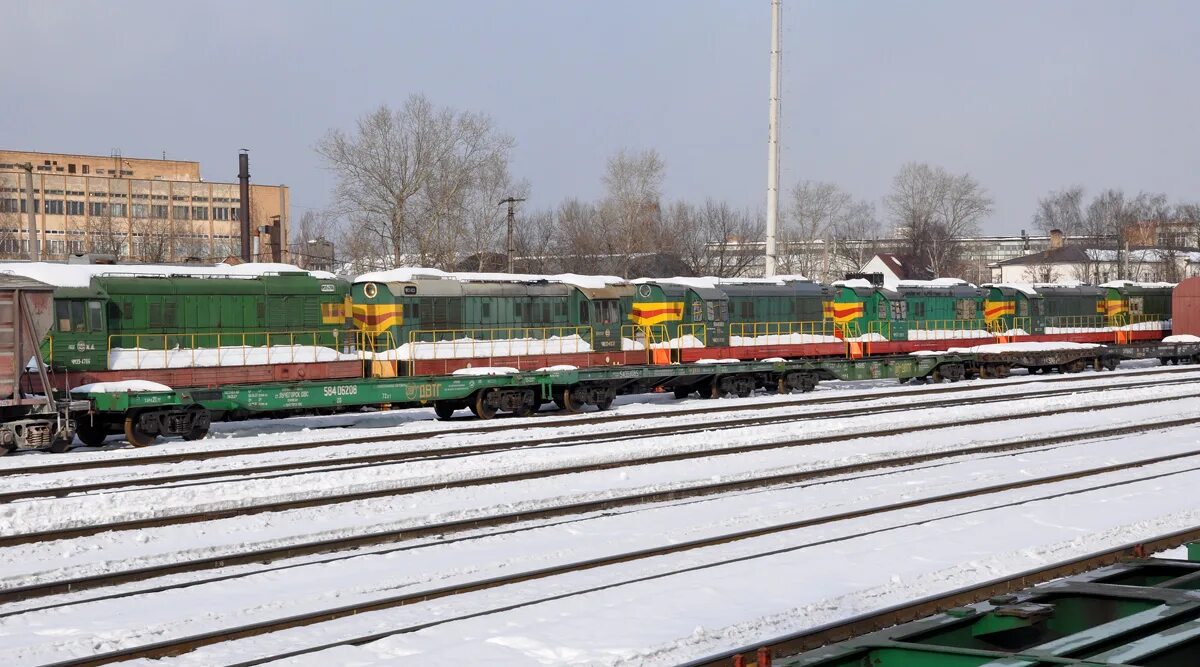 лихоборы подсолнечная