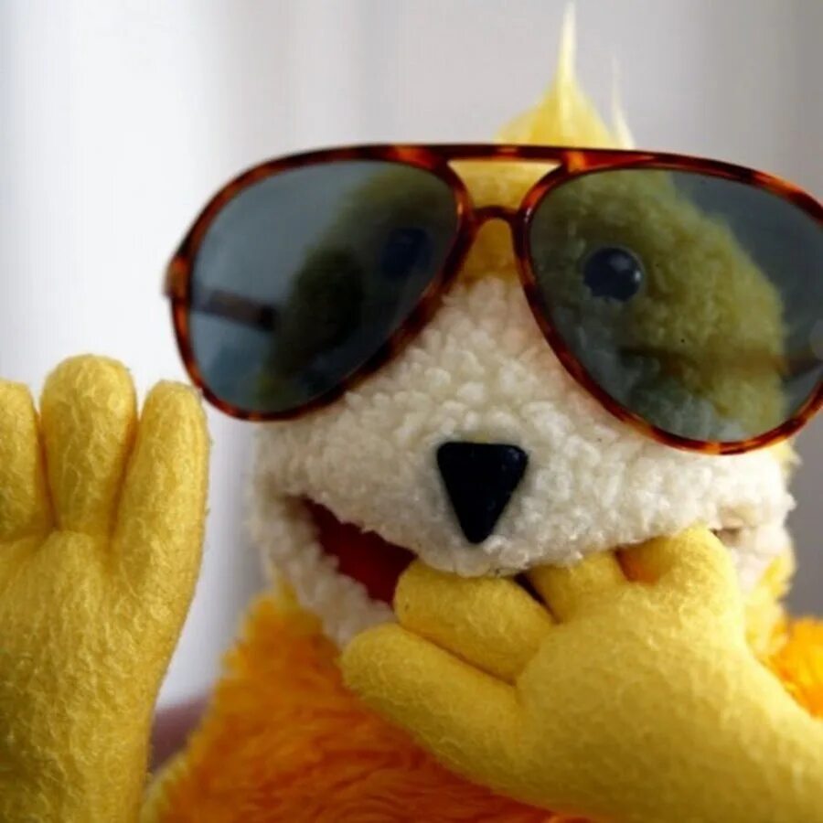 Мистер Ойзо клип. Mr Ozzy плюшевый. Mr Oizo картинки. Mr Oizo Flat Beat. Oizo flat