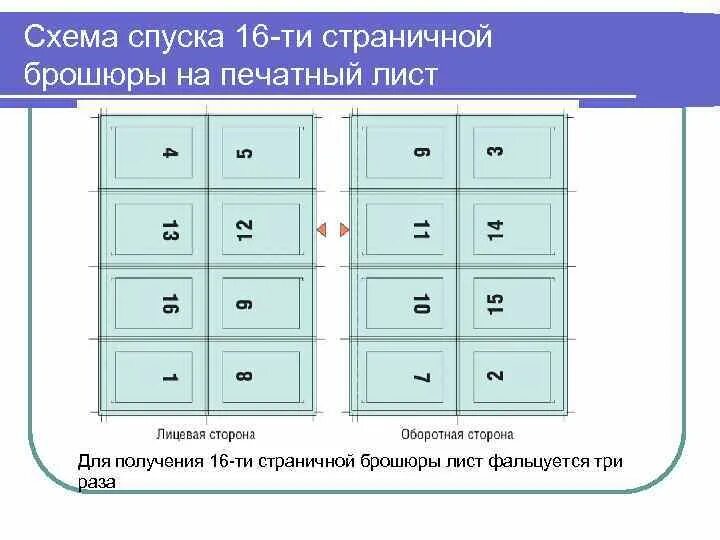 Брошюра содержит 16 страниц. Спуск 16 полос схема. Спуск полос в полиграфии что это. Спуск полос в книге. Спуск полос в буклете.