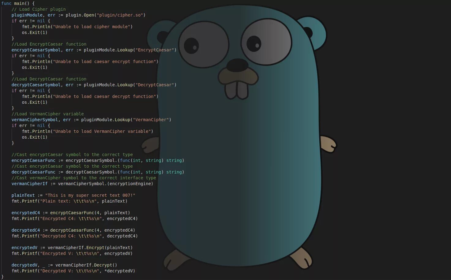 Golang язык программирования. Go golang язык программирования. Golang логотип. Язык программирования golang логотип. Int go