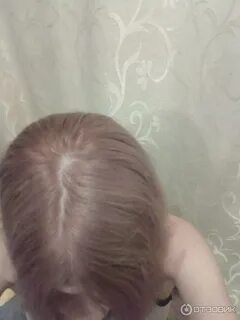 Рябина 246