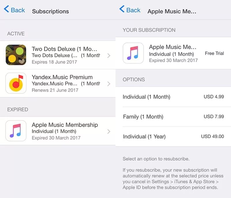 App store казахстан. Подписка Эппл Мьюзик. Сколько стоит подписка на эпл музыку. Турецкий АПЛ стор. АПЛ музыка сколько стоит.