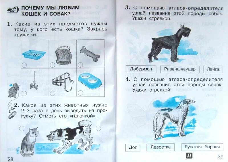 Тех карта окр мир. Задания по окружающему миру 1 класс. Задания по окруж миру 1 класс. Темы по окружающему миру 1 класс.