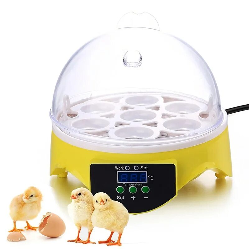 Купить инкубаторы кур. Инкубатор HHD 7 мини. Инкубатор Egg incubator HHD ew9-7. Инкубатор мини Egg LNC. Мини инкубатор на 7 яиц.