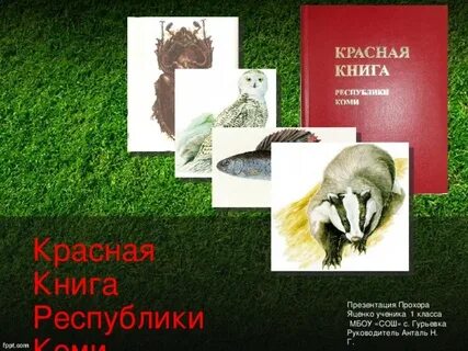 Красная книга республики