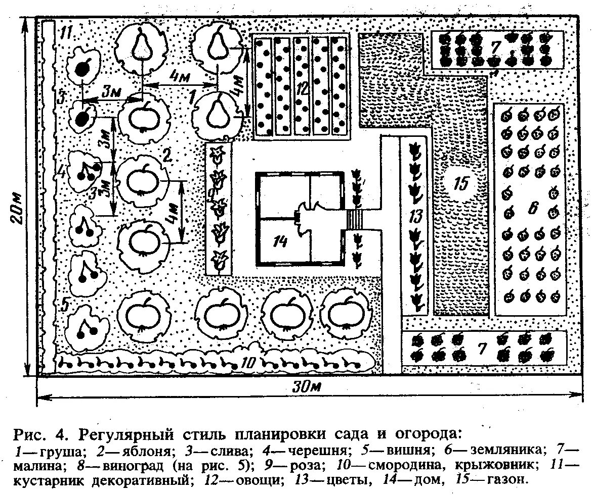 Планировка плодового сада схема. Деревья на участке схема. Деревья на участке схема. Схема посадки садовых деревьев и кустарников. План дачного участка 6 соток схемы.
