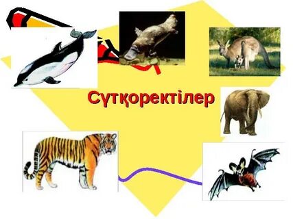 Uz sevinch muminova porn video