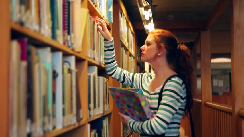 Фото стоя в библиотеке. Тело в библиотеке. Librarian consul. She him in the library. Современный библиотекарь.