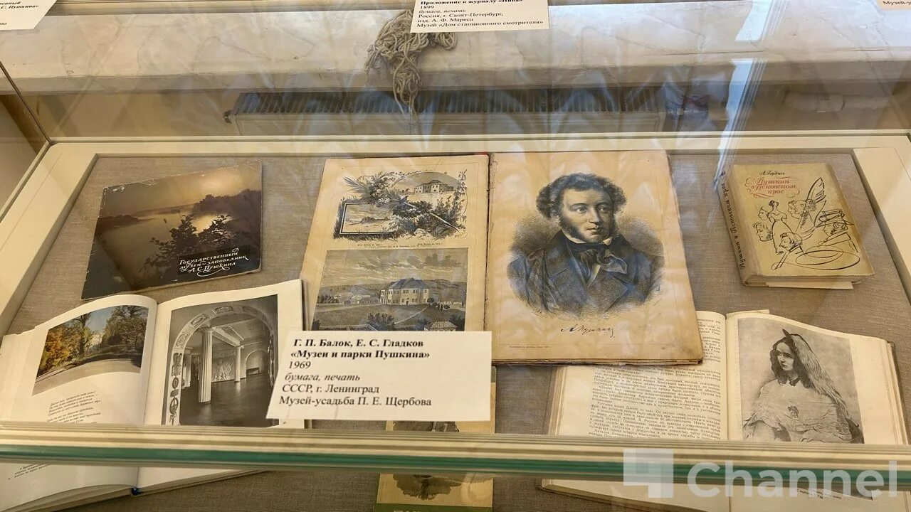 225 летие пушкина в библиотеке. Мероприятия к 225 летию пушкина в библиотеке. 225 летие пушкина. Мероприятия к 225 летию пушкина в школе. Иллюстрации к 225 летию пушкина.