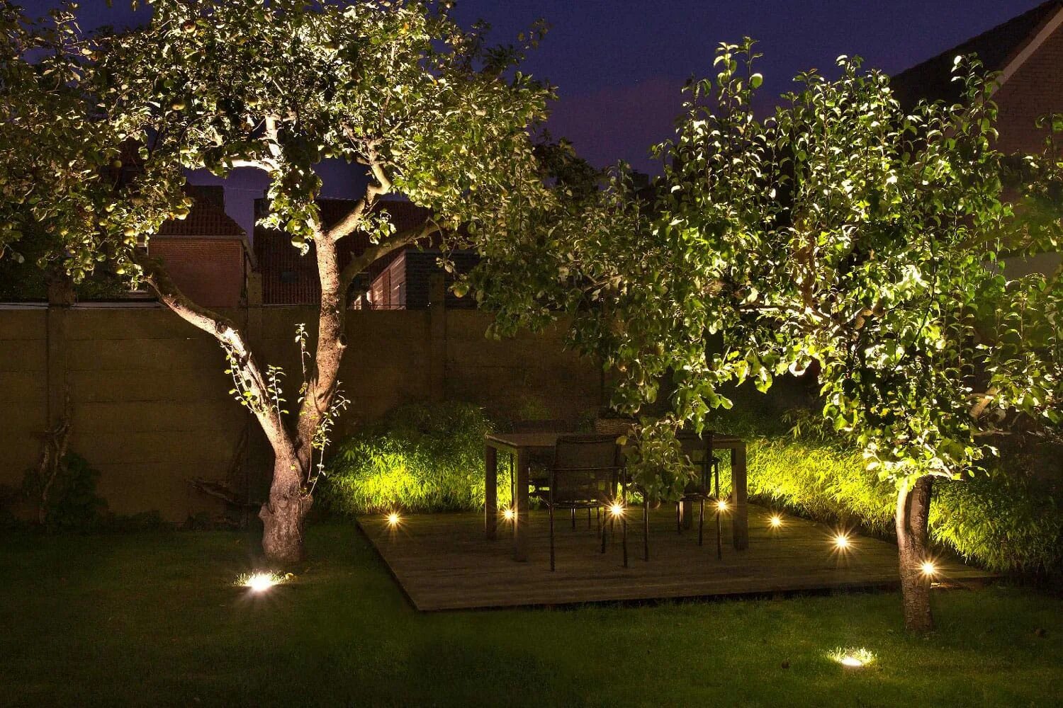 Освещение снизу. Подсветка деревьев Oasis-Light Humberg. Подсвечивание снизу деревьев. Подсветка деревьев снизу в саду. Подсветка деревьев снизу.